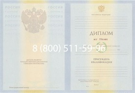 Диплом о высшем образовании 2010-2011 годов
