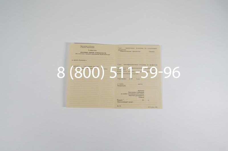 Заказать Аттестат 8 классов СССР в Саратове