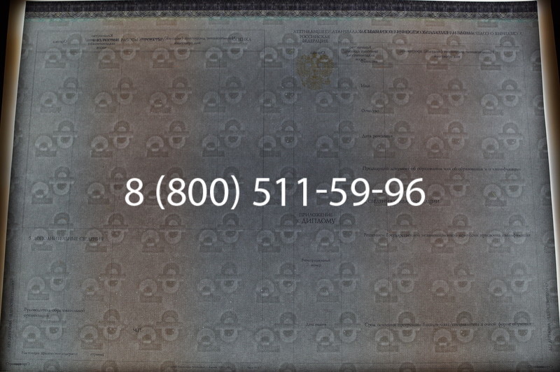 Заказать Диплом бакалавра (Киржач) 2014-2026 года в Саратове