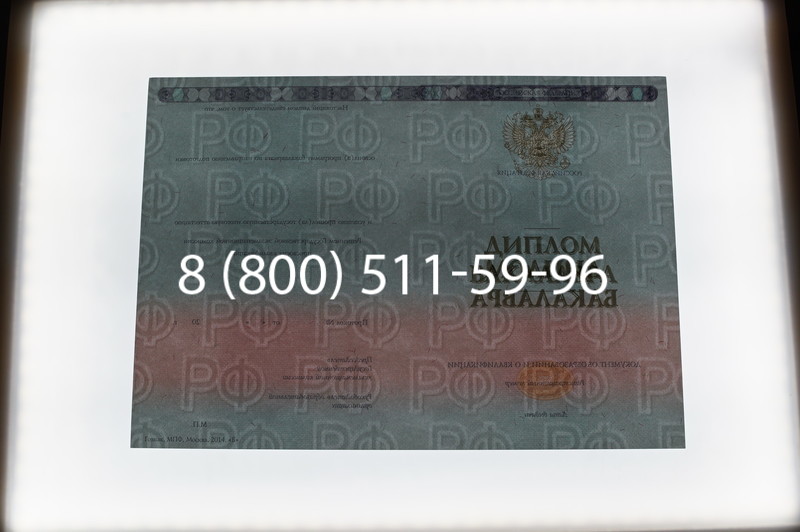 Заказать Диплом бакалавра 2014-2026 года в Саратове