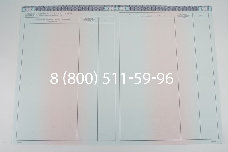 Диплом бакалавра 2014-2026 года в Саратове