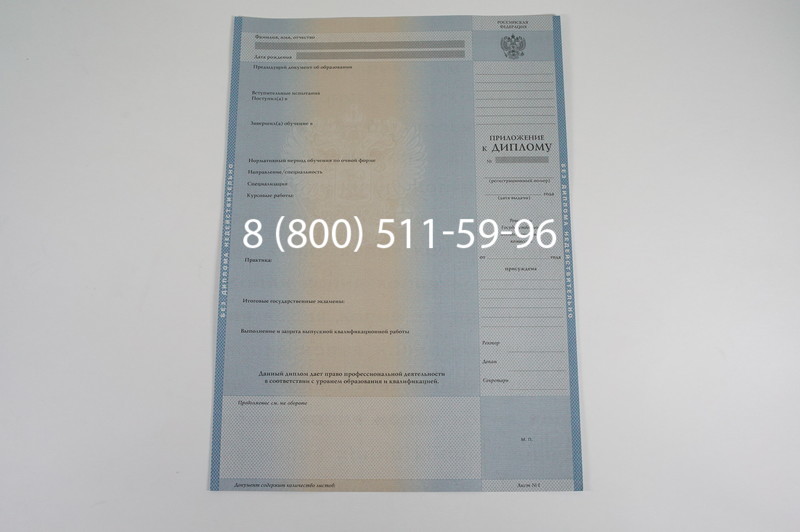 Заказать Диплом бакалавра 1997-2002 годов в Саратове
