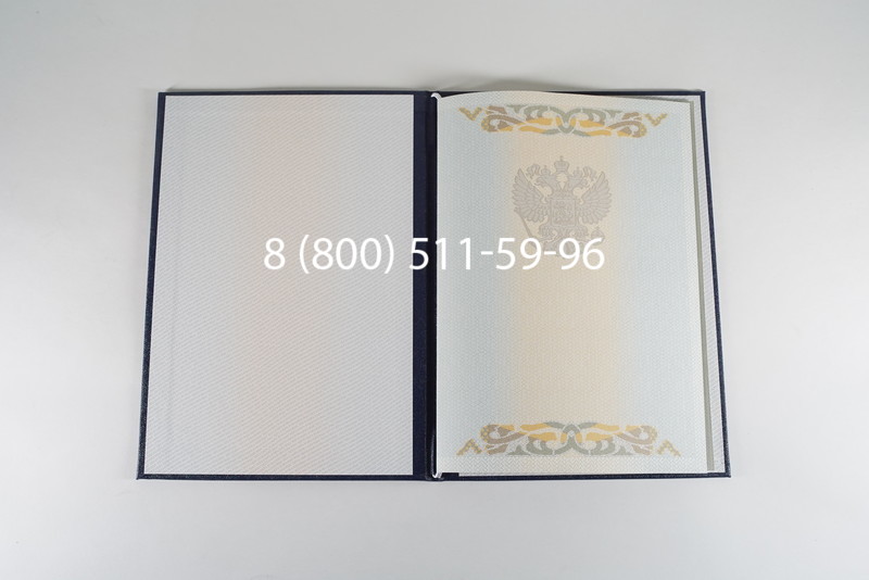 Диплом бакалавра 2003-2009 годов в Саратове