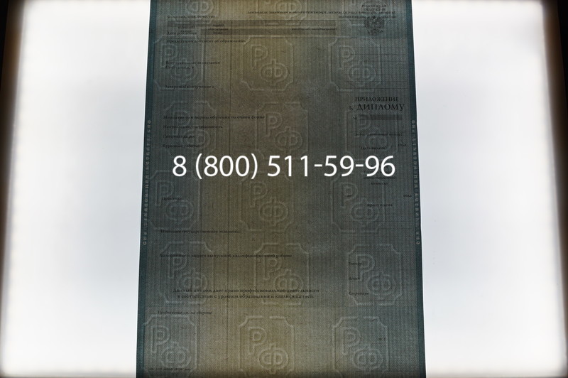 Заказать Диплом бакалавра 2012-2013 годов в Саратове