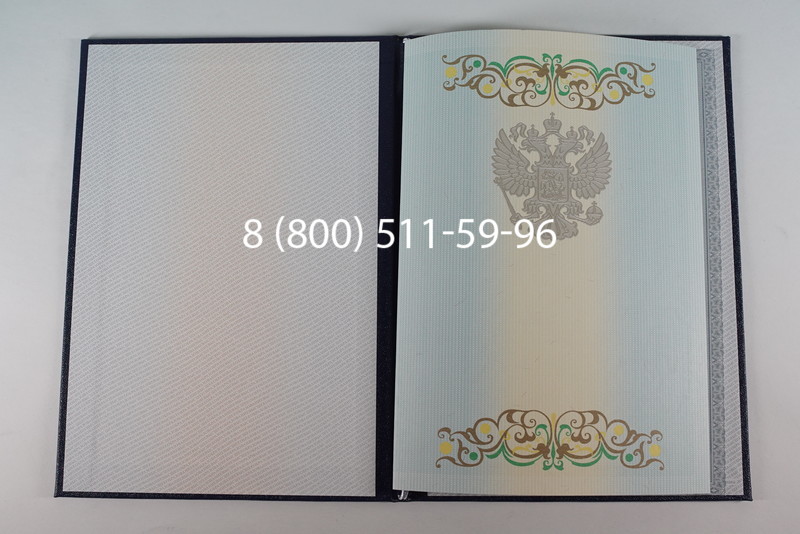 Диплом бакалавра 2012-2013 годов в Саратове