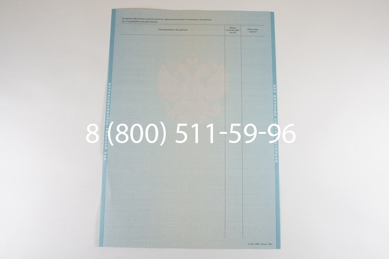 Диплом бакалавра 2010-2011 годов в Саратове