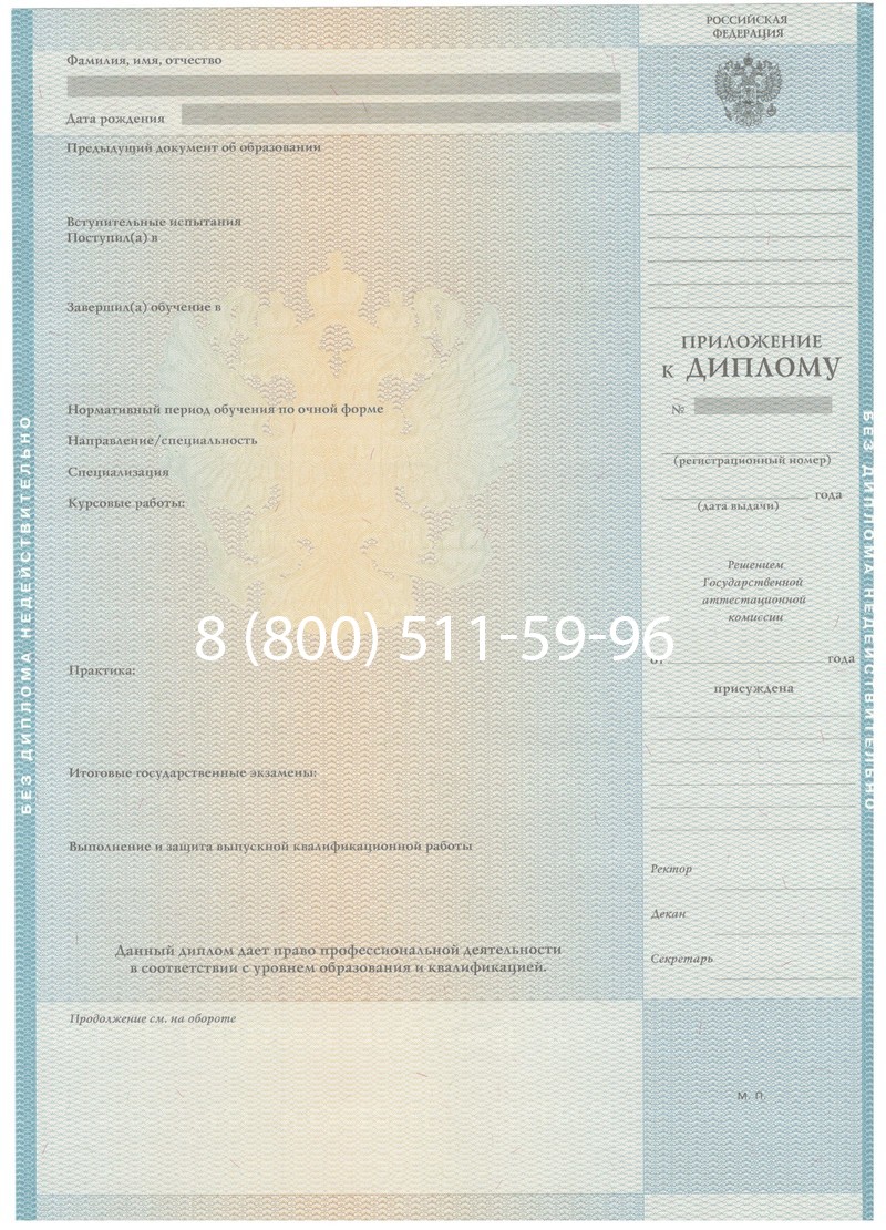 Заказать Диплом бакалавра 2010-2011 годов в Саратове
