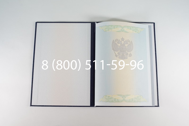 Диплом бакалавра 2010-2011 годов в Саратове