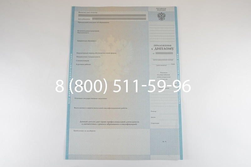 Диплом бакалавра 2010-2011 годов в Саратове