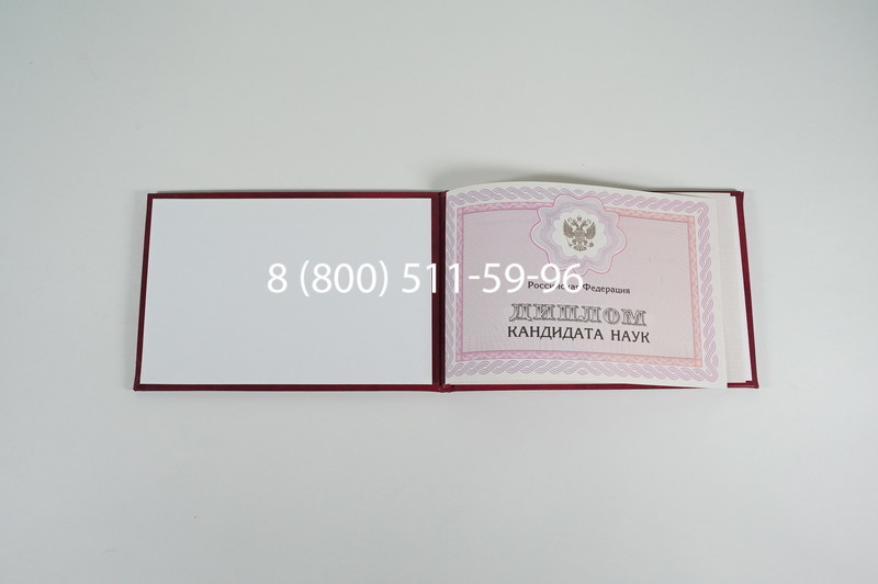 Заказать Диплом кандидата наук 2010 в Саратове