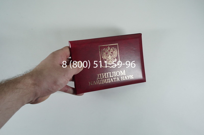 Диплом кандидата наук 2010 в Саратове