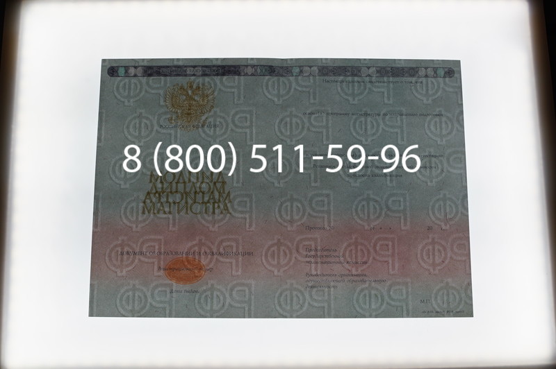 Заказать Диплом магистра 2014-2026 года в Саратове