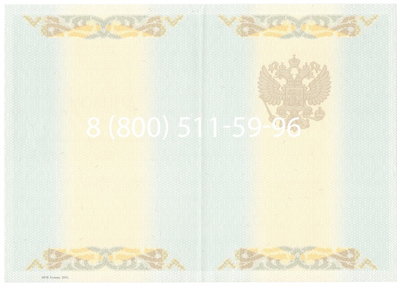 Купить Диплом магистра 2003-2009 годов в Саратове