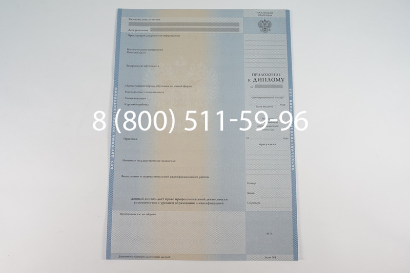 Диплом магистра 2003-2009 годов в Саратове