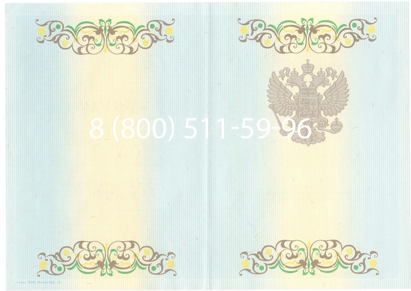 Заказать Диплом магистра 2012-2013 годов в Саратове