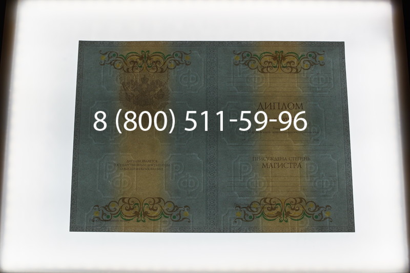 Заказать Диплом магистра 2012-2013 годов в Саратове