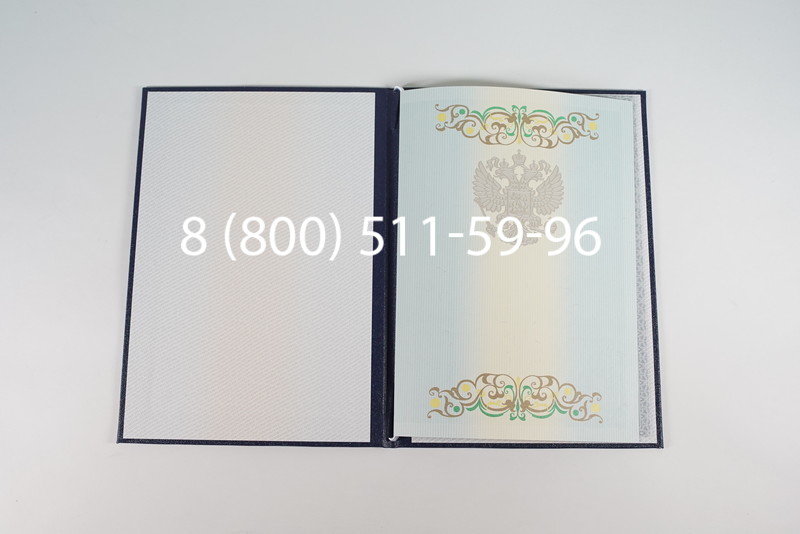 Диплом магистра 2012-2013 годов в Саратове