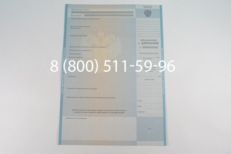 Диплом магистра 2010-2011 годов в Саратове