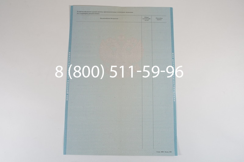 Диплом магистра 2010-2011 годов в Саратове