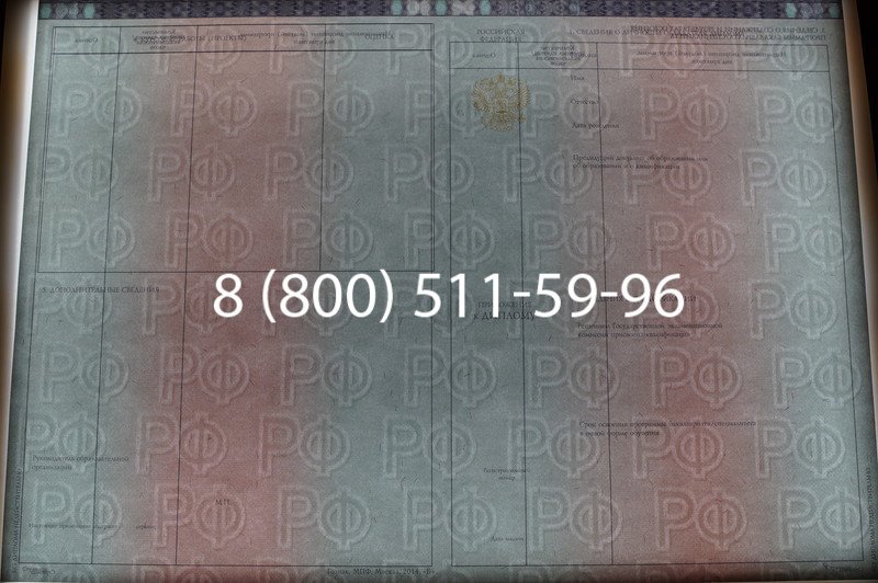 Заказать Диплом о высшем образовании 2014-2026 годов в Саратове