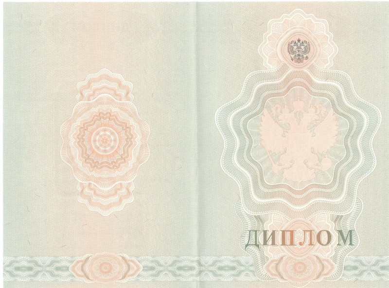 Купить Диплом о начальном образовании  2007-2009 годов в Саратове