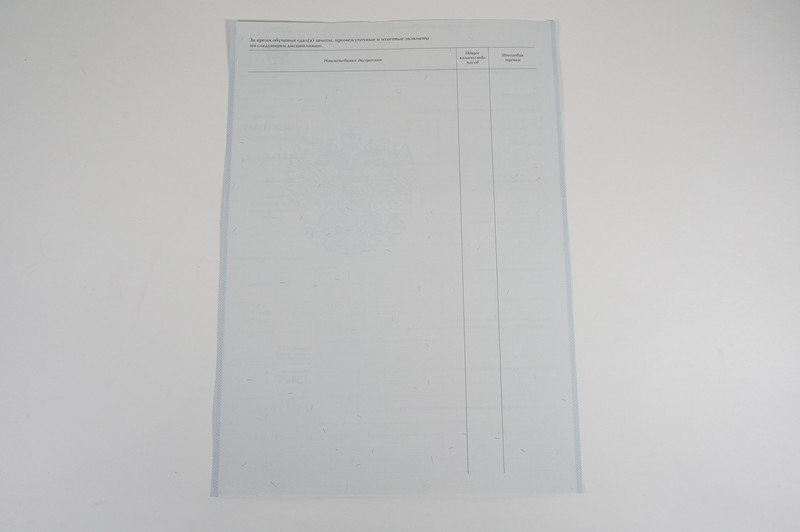 Диплом о начальном образовании  2007-2009 годов в Саратове