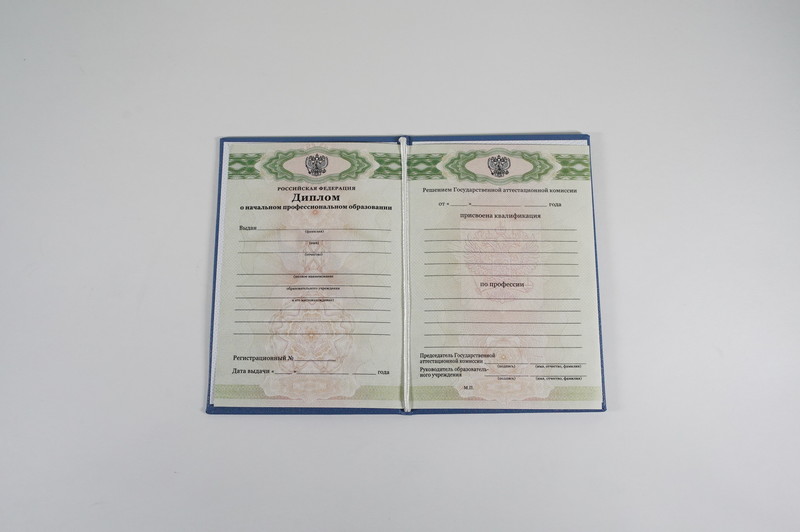 Диплом о начальном образовании  2010-2026 годов в Саратове