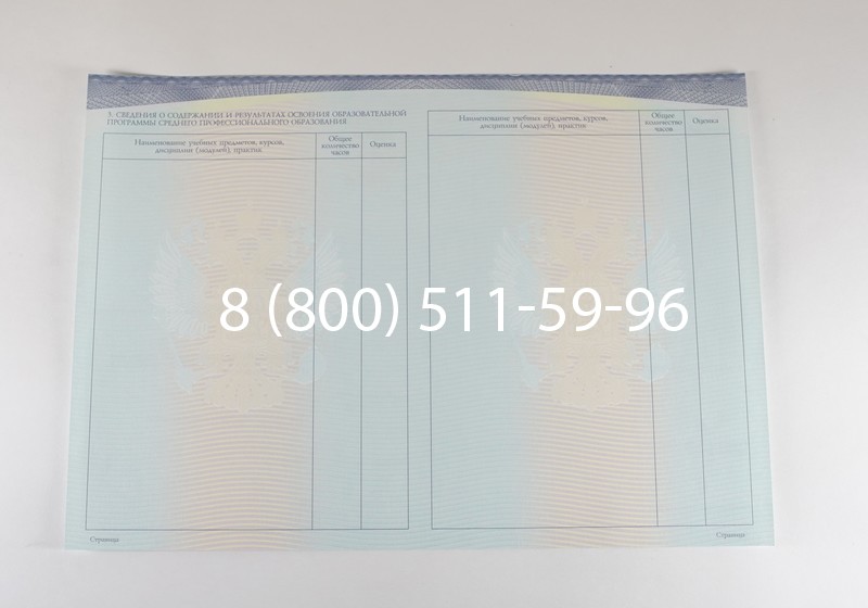 Диплом о среднем образовании (Спецбланк) 2014-2026 года в Саратове
