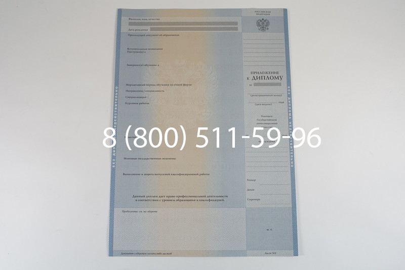 Диплом о высшем образовании 2003-2009 годов в Саратове