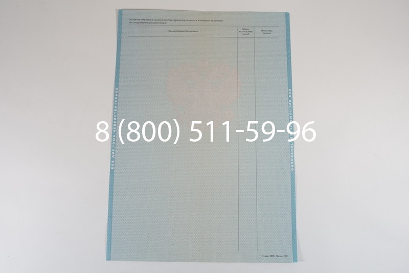 Диплом о высшем образовании 2010-2011 годов в Саратове
