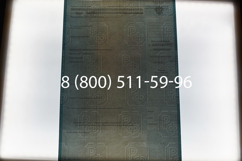 Заказать Диплом о высшем образовании 2010-2011 годов в Саратове