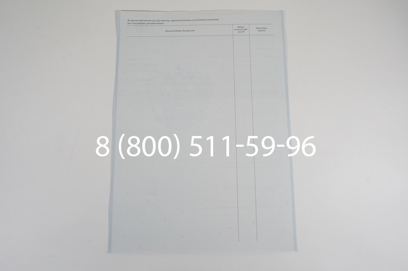 Диплом ПТУ 2007-2010 годов в Саратове