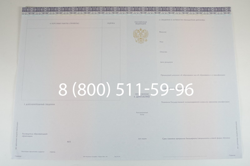 Диплом специалиста (КИРЖАЧ) 2014-2026 года в Саратове