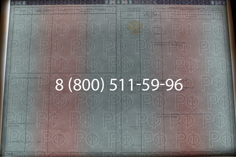 Заказать Диплом специалиста 2014-2026 года в Саратове