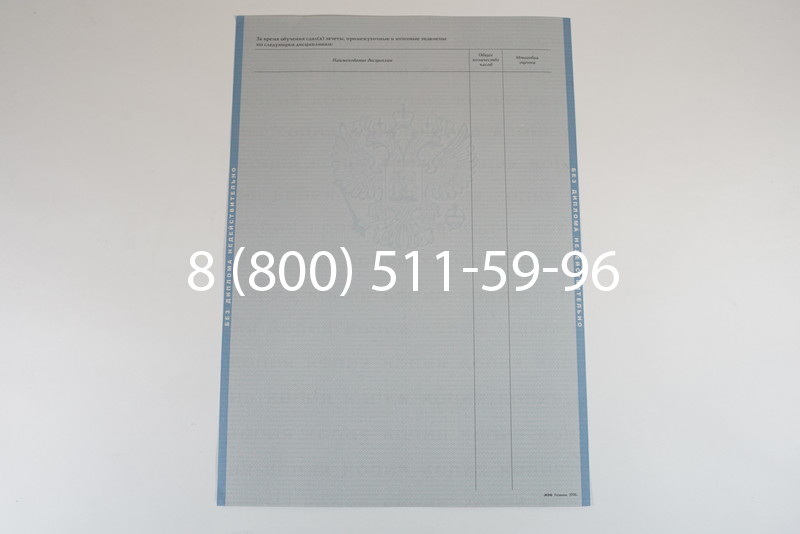 Диплом специалиста 2003-2009 годов в Саратове