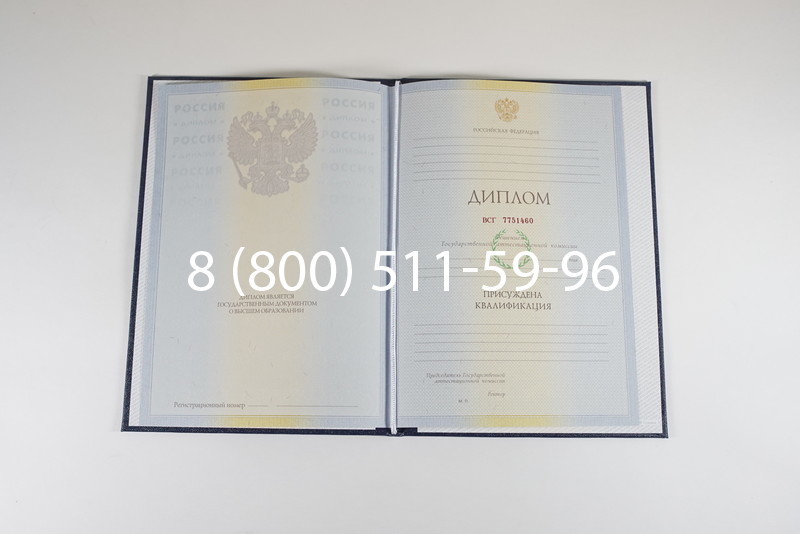 Диплом специалиста 2010-2011 годов в Саратове