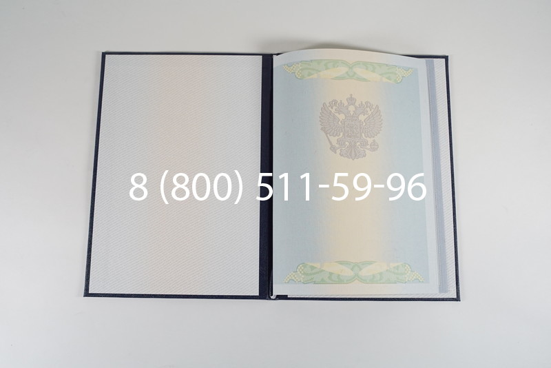 Диплом специалиста 2010-2011 годов в Саратове