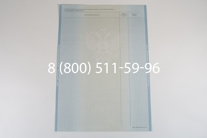 Диплом специалиста 2012-2013 годов в Саратове