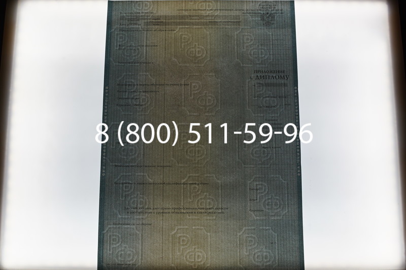 Заказать Диплом специалиста 2012-2013 годов в Саратове