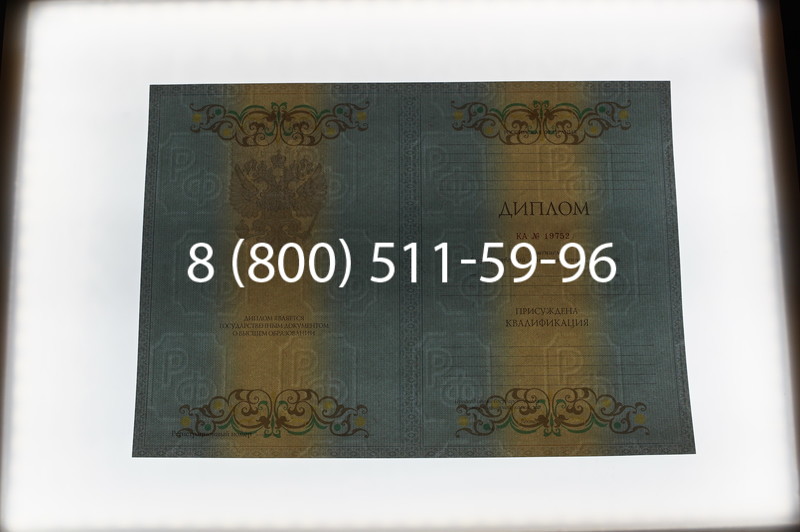 Заказать Диплом специалиста 2012-2013 годов в Саратове