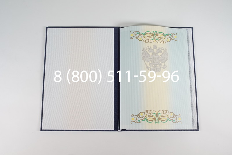 Диплом специалиста 2012-2013 годов в Саратове