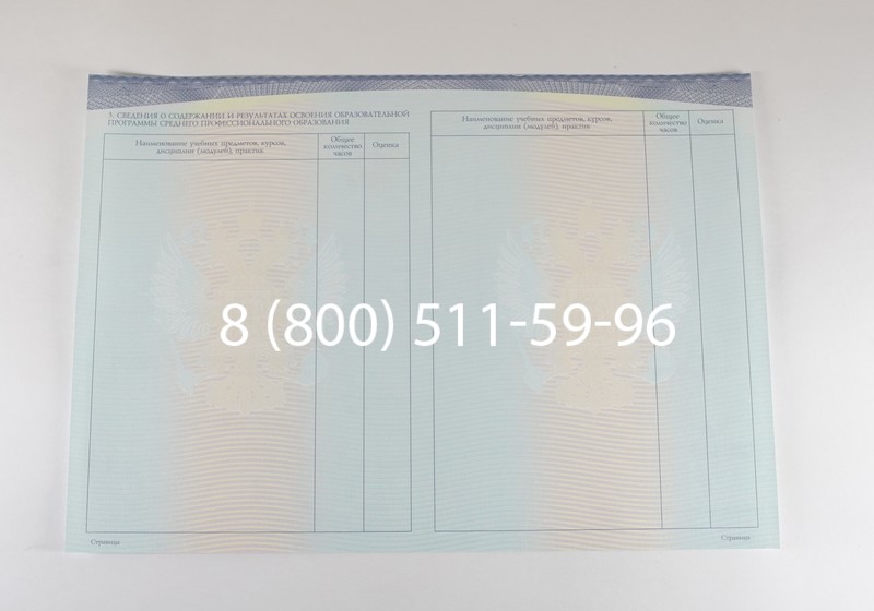 Диплом колледжа (Спецбланк) 2014-2026 года в Саратове